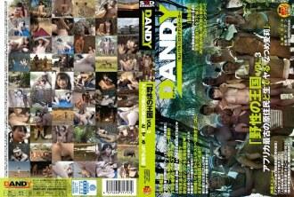 DANDY-462