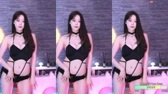 KBJ-24091661