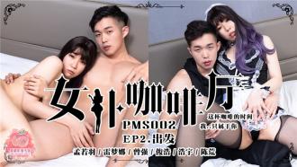 PMS002-4