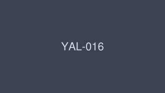 YAL-016